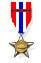 IDF Norwegian Campaign Medal.jpg