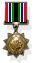 IDF South African Campaign Medal.jpg