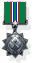 IDF USA and Russia War Medal.jpg