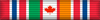 Ireland - Canada Campaign Medal