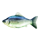 Icon - Fish.png