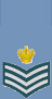 RAF-Flight Sergeant.png