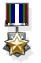 IDF Italian Defense Campaign Medal.jpg