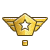 Icon rank National Force*.png