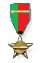 IDF Portugal Campaign Medal.jpg