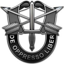 Special Forces (United States).png