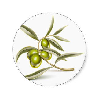 Olive branc.jpg