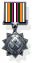 IDF UK Battles Medal.jpg