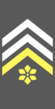 Insignia - Belgian Army - 1st Sergeant Major.png