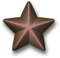 Ribbon addition - Bronze Service Star.png
