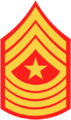 Insignia - Central Intelligence Agency - Sergeant Major.png