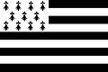 Flag-Brittany.jpg