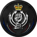 Royal Armoured Corps.png
