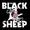 Party-The Black Sheep Party.jpg