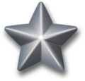 Ribbon addition - Silver Service Star.png
