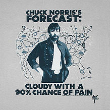Party-The Chuck Norris Party.jpg