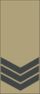 Insignia - South African Armed Forces - Sergeant.png