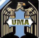 Union Militar Argentina Uniform.png