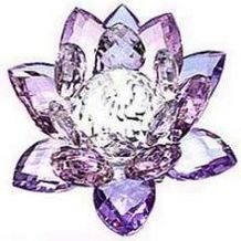 Logo of Crystal Lotus Corporation