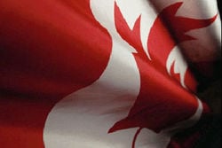 Canadian.Flag.jpg