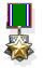 IDF Dublin Liberation Medal.jpg