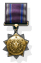 Canadian Forum Medal - Congress Member.jpg