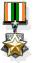 IDF Time Medal.jpg
