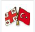 Party-Georgian Turkish Society.png