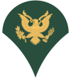 Insignia - United States - Specialist.png