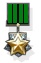 IDF UK Invasion Medal.jpg