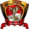 Cobra AoI v3.jpg