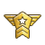Icon rank Legendary Force.png