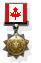 IDF Canadian Campaign Medal.jpg