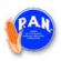 PAN_Logo.jpg