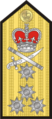 Insignia - Royal Navy - Admiral Decorative.png