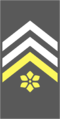 Insignia - Belgian Army - 1st Sergeant Major.png