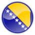 Icon-Bosnia and Herzegovina.png