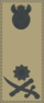 Insignia - South African Armed Forces - Brigadier General.png