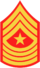 Insignia - Central Intelligence Agency - Sergeant Major.png