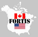 Flag of FORTIS