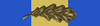 Ribbon - Special Air Service Service Medal with MID.png