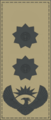 Insignia - South African Armed Forces - Colonel.png