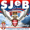 SJeB Force.jpg