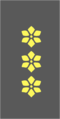 Insignia - Belgian Army - Captain.png