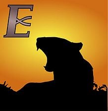 Logo of Lioness Corporation
