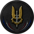 Special Air Service v2.png