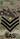 Insignia - Special Air Service - Sergeant.png