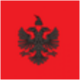 Party-United Albania.png