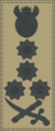 Insignia - South African Armed Forces - General.png