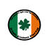 Party-Irish Union Party.png